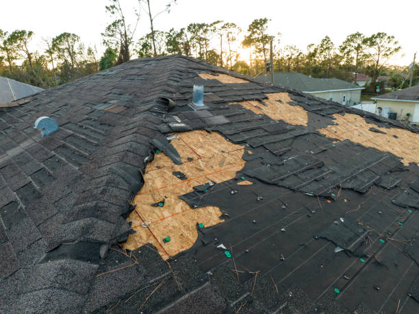 Best Green or Eco-Friendly Roofing Solutions  in Crest Hl, IL